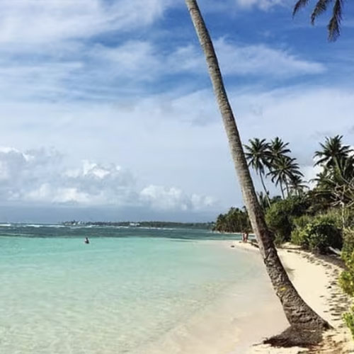 500x500-plage-bois-jolan-sainte-anne