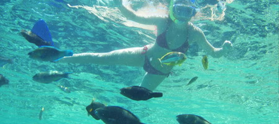 snorkeling-guadeloupe2