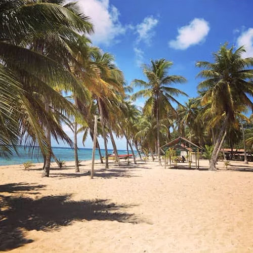 500x500-ile-de-la-desirade-location-voiture-sainte-anne