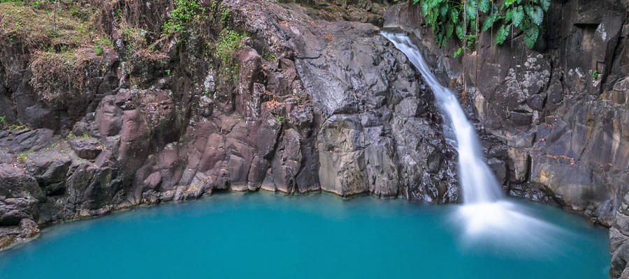 guadeloupe-saut-acomat-basse-terre