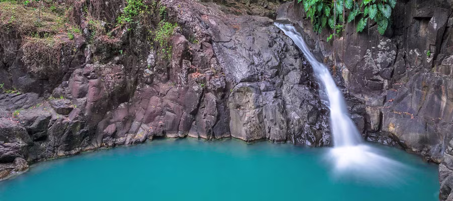 guadeloupe-saut-acomat-basse-terre
