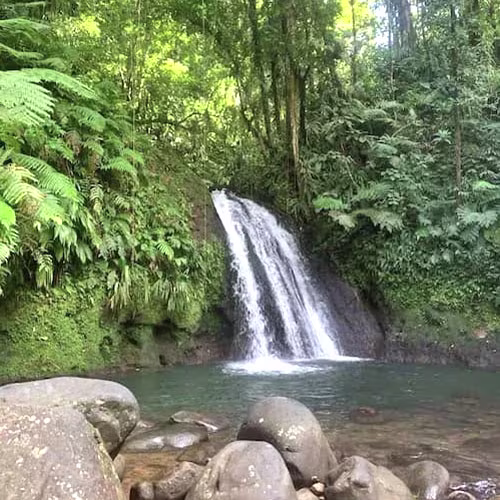 500x500-cascade-ecrevisses-gourbeyre