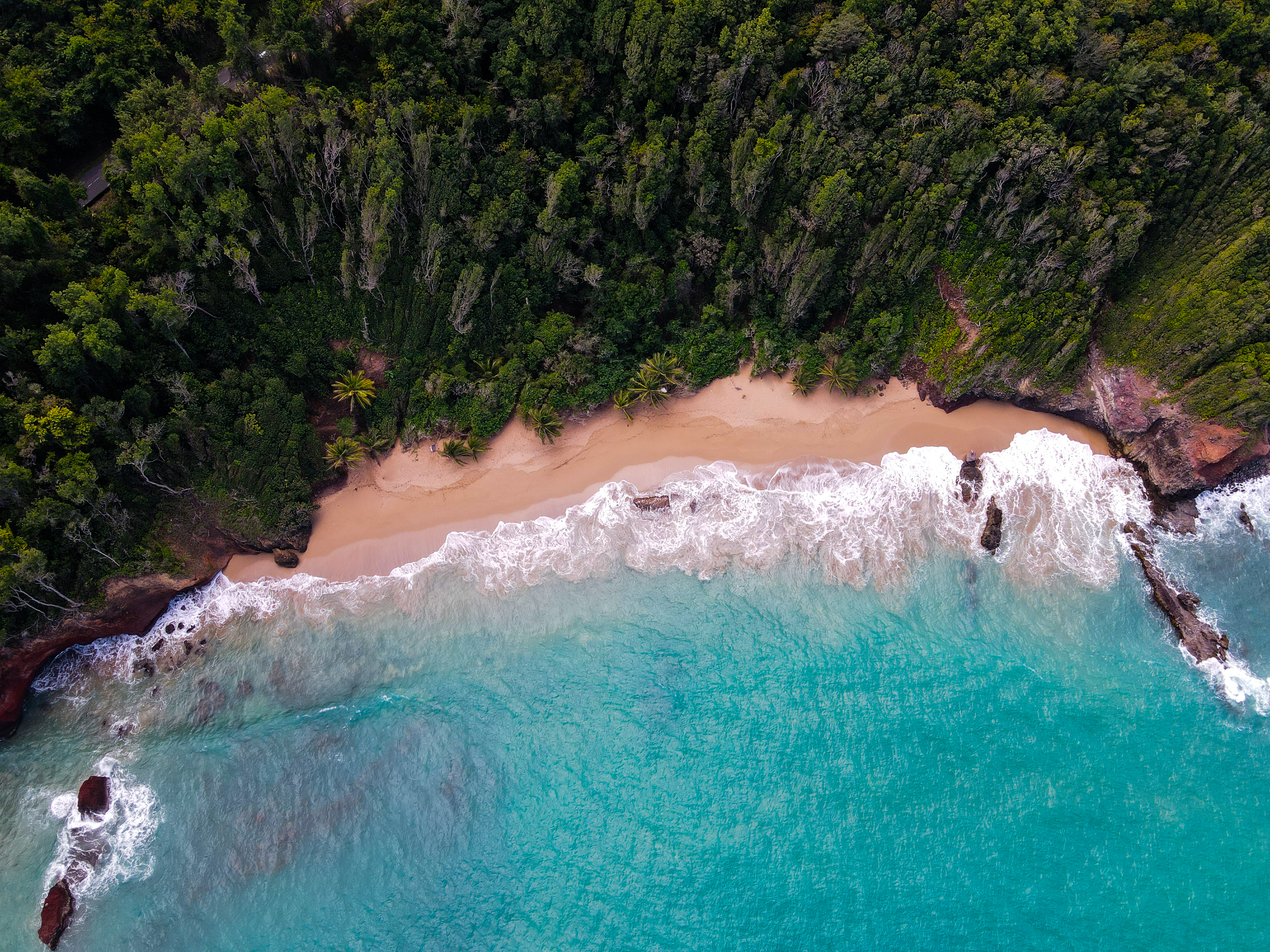 secret beach in Deshaies Basse-Terre Gaudeloupe