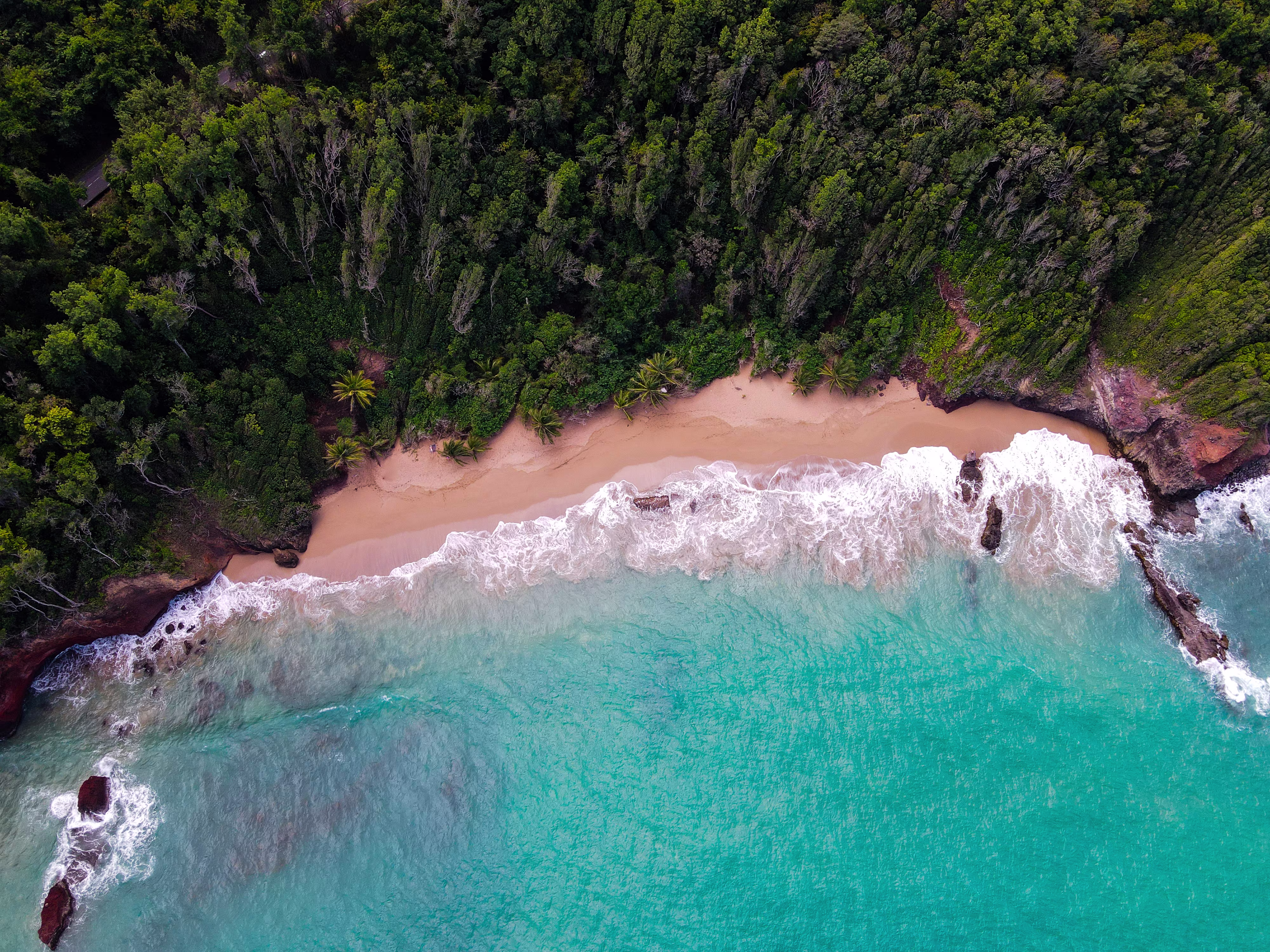 secret beach in Deshaies Basse-Terre Gaudeloupe