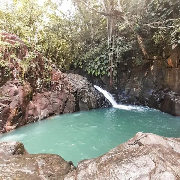Saut Acomat - Guadeloupe