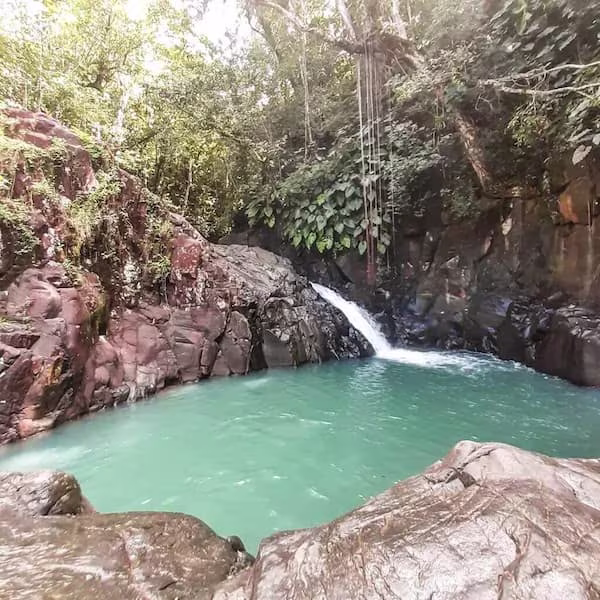 Saut Acomat - Guadeloupe