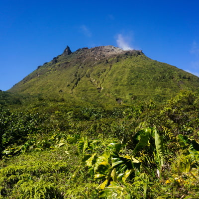 Road Trip en Guadeloupe : Itinéraire 2 : Entre culture et détente