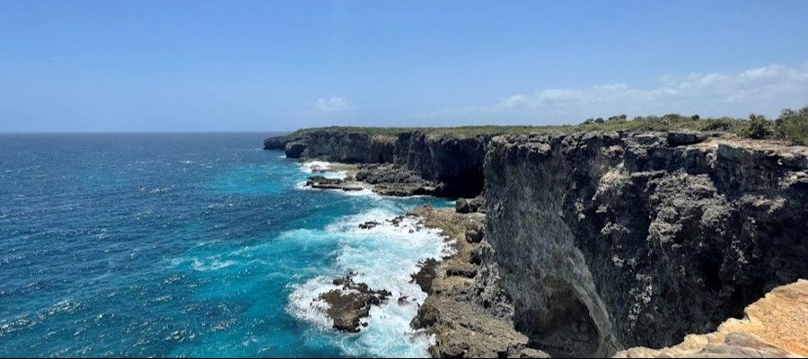 Pointe de la Grande Vigie - Guadeloupe