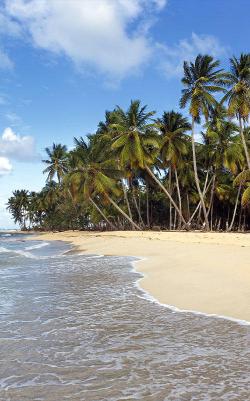 800x500-que-faire-guadeloupe