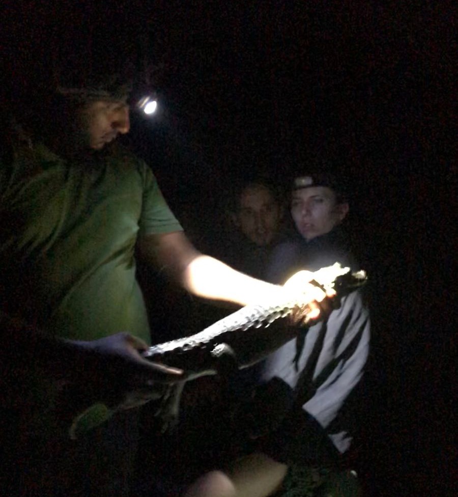 marais-de-kaw-visite-nuit-caiman