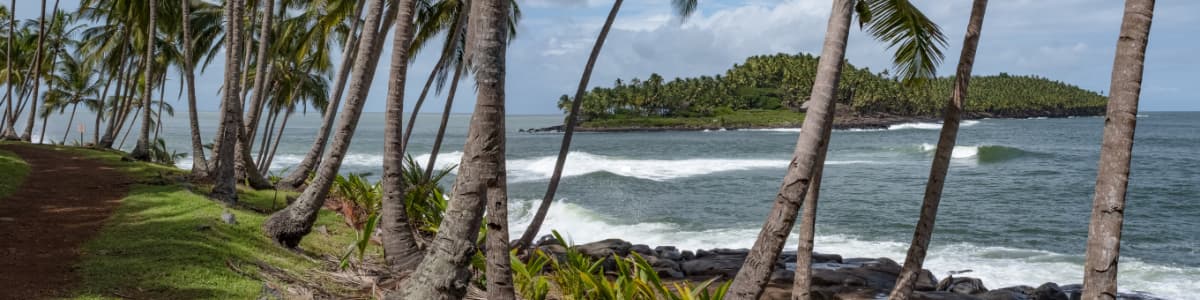 location voiture kourou 
