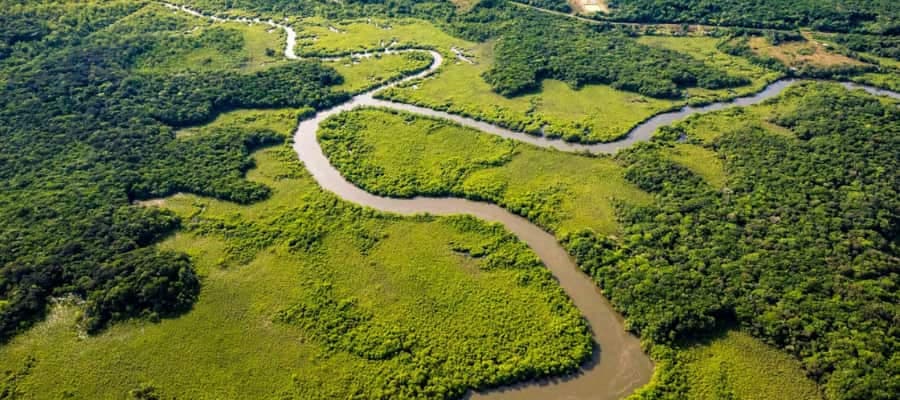 la randonnée du sentier Molokoi en Guyane 
