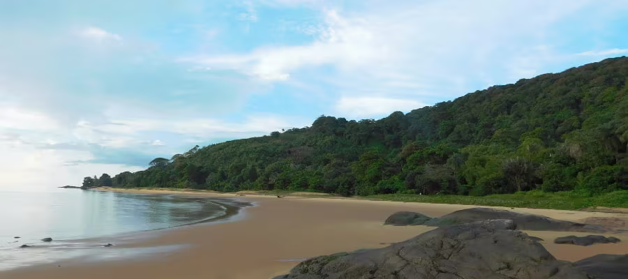 Photo plage gosselin location voiture guyane