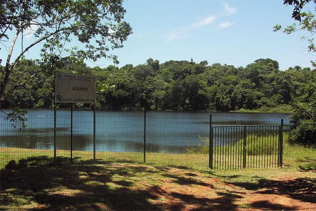 sentier-rorota-guyane