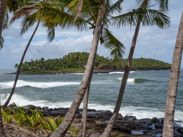 Location de voiture Guyane