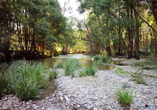roura-en-guyane