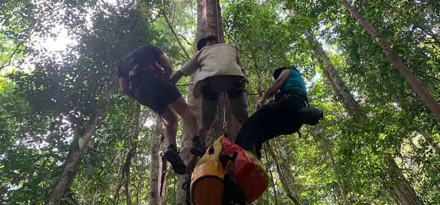 rappel-tyrolienne-camp-canopee-guyane