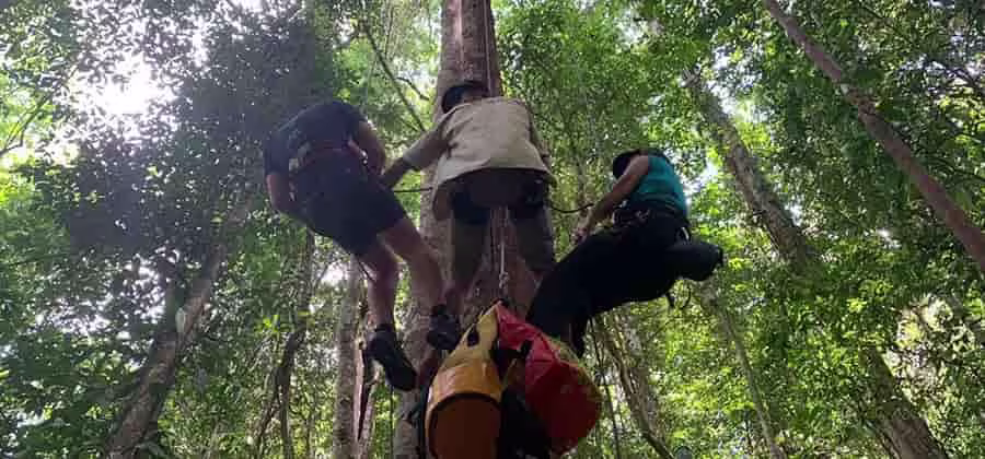 rappel-tyrolienne-camp-canopee-guyane