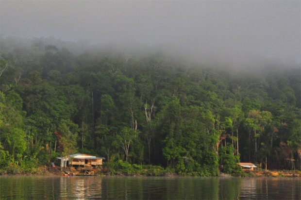maripasoula-guyane