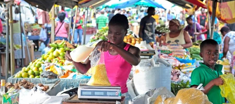 marché aux poissons et aux fruits de mer à Cayenne en Guyane 