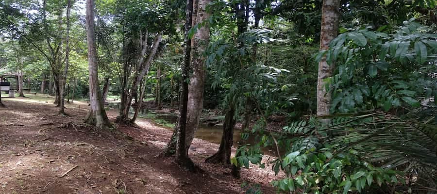 La Crique Morthium à Matoury en Guyane 