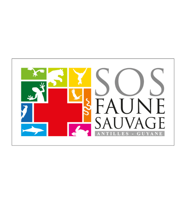 partenaire jumbo car guyane sos faune sauvage
