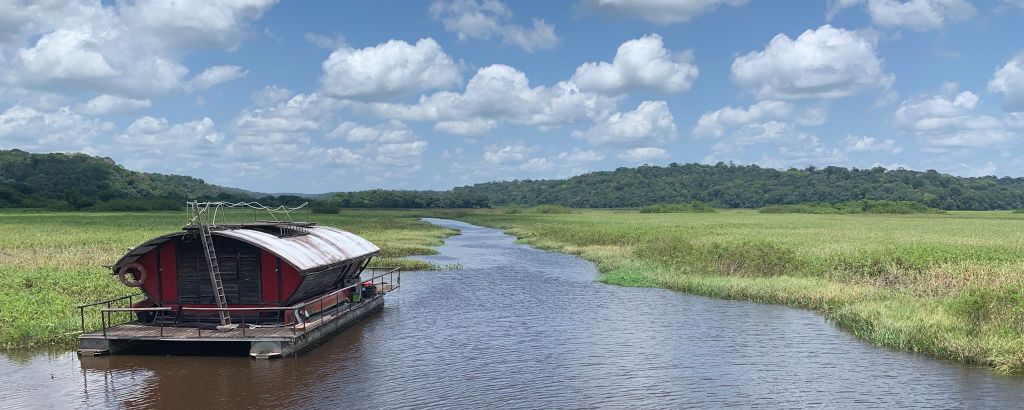 internes-guyane-marais-kaw