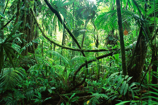 sentier-botanique