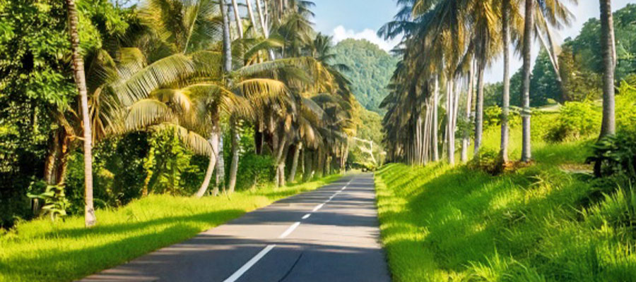 conduire-en-martinique