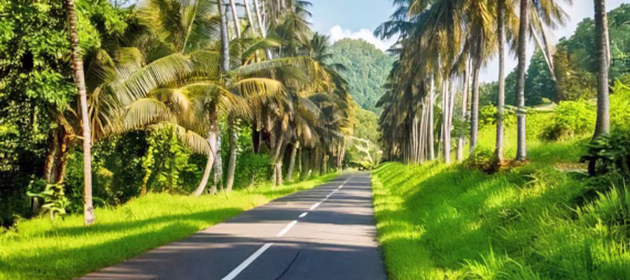 conduire-en-martinique