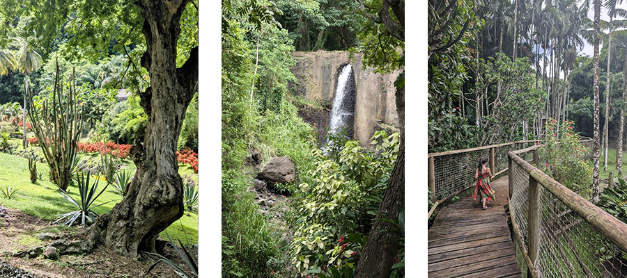 zoo-martinique-decors