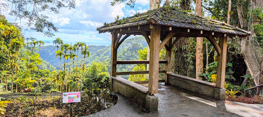 jardins-balata-martinique