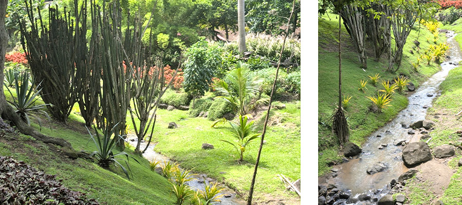 zoo-martinique-amenagements-paysagers