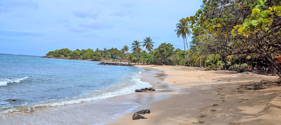 plage-de-gros-raisin-sentier-du-littoral