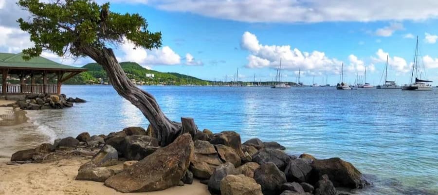 Plage de la Pointe Marin à Sainte-Anne - Martinique