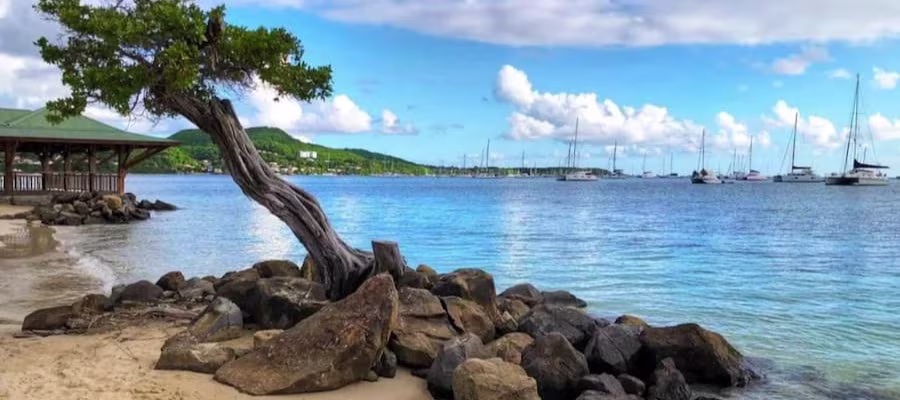 Plage de la Pointe Marin Ă Sainte-Anne - Martinique