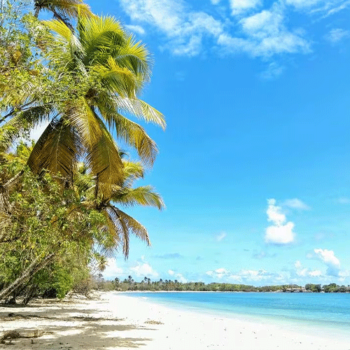 plage-des-salines-500x500