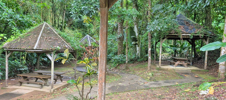 carbets-pique-nique-domaine-emeraude-martinique