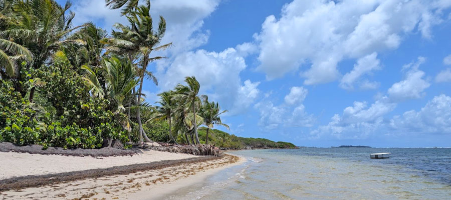 anse-michel-martinique