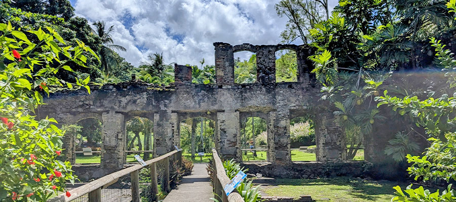 zoo-martinique-anciennes-ruines