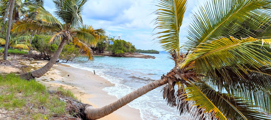 sentier-du-littoral-sainte-luce-depuis-anse-desert