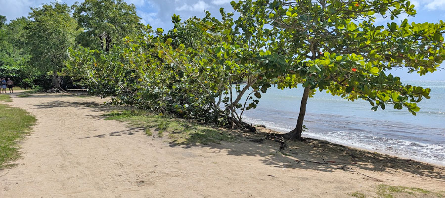anse-mabouya
