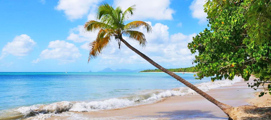 Grande Anse des Salines à Sainte-Anne - Martinique