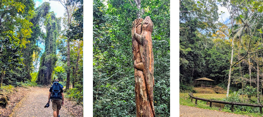 foret-montravail