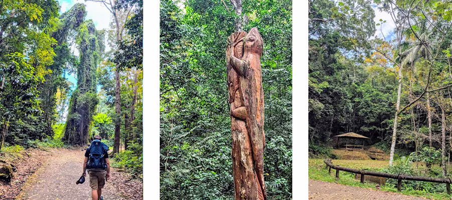 foret-montravail