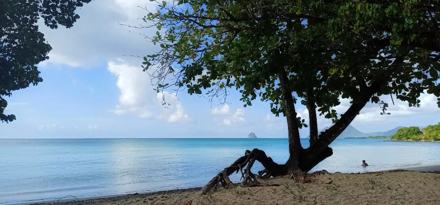 anse mabouya sainte luce martinique