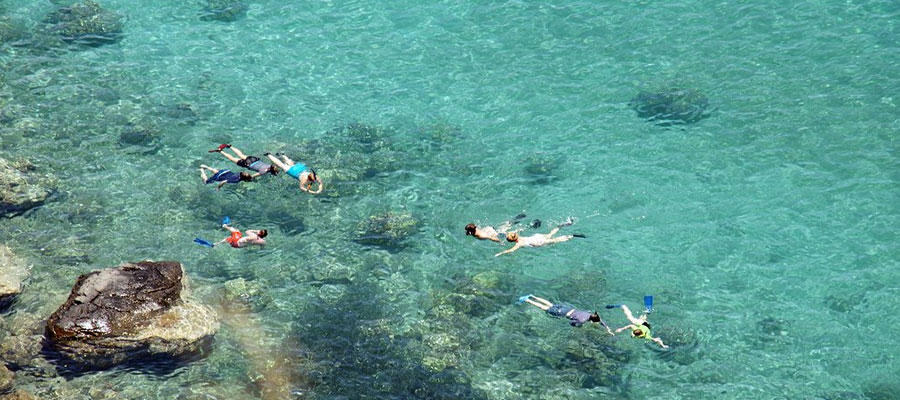 spots-snorkeling-martinique