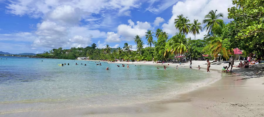 anse-figuier-2