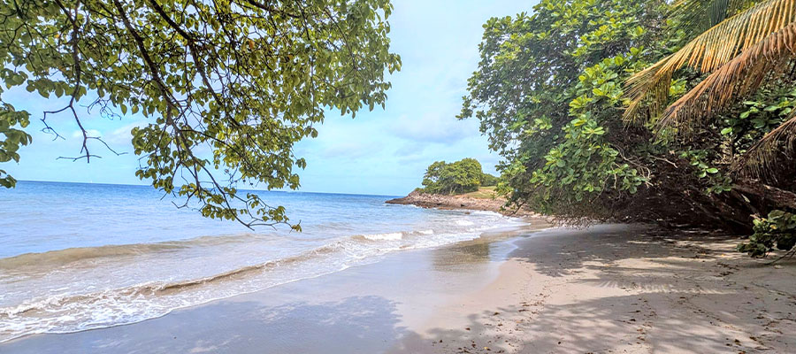 plage-de-pont-cafe-sentier-du-littoral