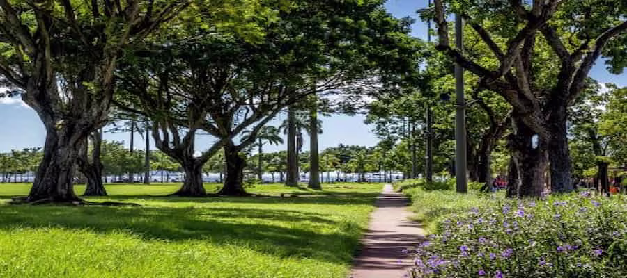 parc Savane en Martinique à Fort-de-France